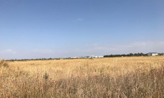 Residential 3666 m2 for sale in Kokkinotrimithia, Nicosia
