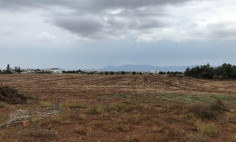 Residential 3835 m2 for sale in Ayioi Trimithias, Nicosia