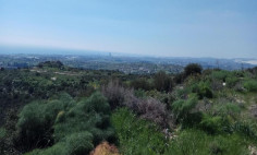 Residential 11372 m2 for sale in Maroni, Larnaca