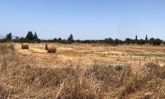 (residential) in Episkopeio, Nicosia for sale , Nicosia