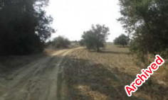 Residential 2778 m2 for sale in Ergates, Nicosia