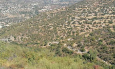 Land for sale in Limnatis, Limassol