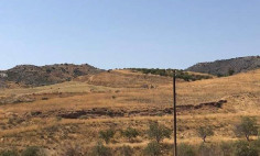 (industrial) in Marathounta, Paphos for sale 