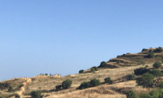 (agricultural) in Episkopi, Paphos for sale , Paphos
