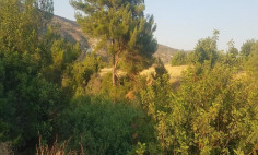 Residential 5017 m2 for sale in Asgata, Limassol