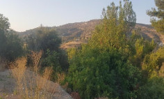 Residential 5017 m2 for sale in Asgata, Limassol