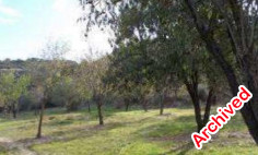 (industrial) in Drousia, Paphos for sale 