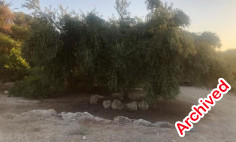 Residential 1338 m2 for sale in Poli Crysochous, Paphos