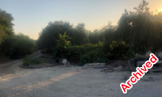 Residential 1338 m2 for sale in Poli Crysochous, Paphos
