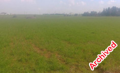 Residential 2782 m2 for sale in Palaiometocho, Nicosia