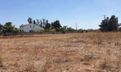 Residential 4217 m2 for sale in Liopetri, Famagusta
