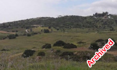 Spacious commercial for sale in Monagroulli