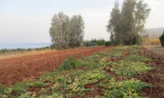 Residential 2342 m2 for sale in Ayia Marina Chrysochous, Paphos