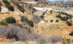 Residential 6689 m2 for sale in Pissouri, Limassol
