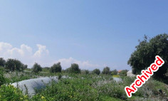 Residential 1673 m2 for sale in Ayia Marina Chrysochous, Paphos