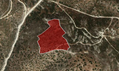 (agricultural) in Armenochori, Limassol for sale , Limassol