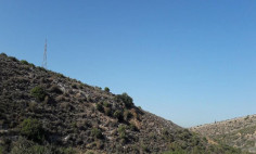 (agricultural) in Armenochori, Limassol for sale , Limassol