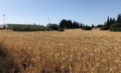 Residential 2048 m2 for sale in Kokkinotrimithia, Nicosia