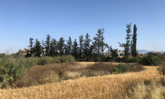 Residential 2048 m2 for sale in Kokkinotrimithia, Nicosia