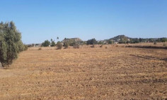 Residential for sale in Episkopeio, Nicosia