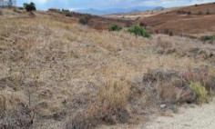 (residential) in Potami, Nicosia for sale , Nicosia