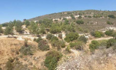 (residential) in Kato Drys, Larnaca for sale , Larnaca