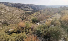 For sale, land, field, Limassol, Vouni, 11,676m&sup2;, &euro;17,000 