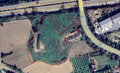 Share of agricultural field in Livadia, Larnaca 