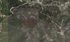 Agricultural field in Pelendri, Limassol 