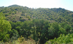 Agricultural field in Pelendri, Limassol 