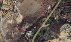 Share of agricultural field in Tala, Paphos 
