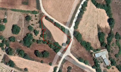 Agricultural for sale in Fyti