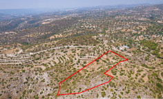 Agricultural field in Apesia, Limassol 