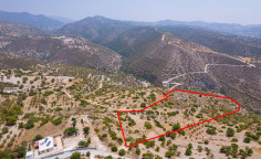 Agricultural field in Apesia, Limassol 