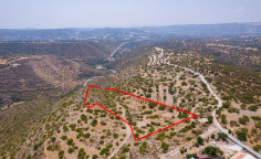 Agricultural field in Apesia, Limassol 