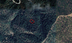 Luxury agricultural to rent in Nicosia