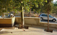 5 bedroom house with swimming pool to rent in Ekali