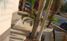 5 bedroom house with swimming pool to rent in Ekali