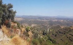For sale, land, field, Limassol, Pachna, 5,350m&sup2;, &euro;60,000 , Limassol