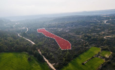 For sale, land, field, Limassol, Agios Amvrosios, 25,419m&sup2;, &euro;31,000 