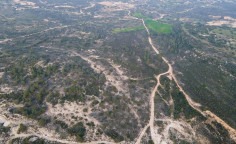 For sale, land, field, Limassol, Agios Amvrosios, 25,419m&sup2;, &euro;31,000 
