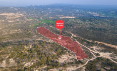 For sale, land, field, Limassol, Agios Amvrosios, 25,419m&sup2;, &euro;31,000 