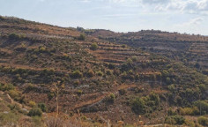 For sale, land, Limassol, Arsos, 13,479m&sup2;, &euro;20,000 