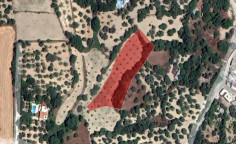 For sale, land, Paphos, Giolou, 3,345m&sup2;, &euro;75,000 , Paphos