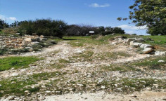 For sale, land, field, Limassol, Pachna, 9,532m&sup2;, &euro;15,000 