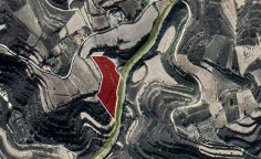 For sale, land, field, Limassol, Pachna, 8,919m&sup2;, &euro;22,000 