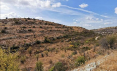 For sale, land, field, Limassol, Vouni, 1,338m&sup2;, &euro;2,000 