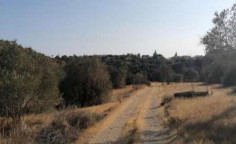 For sale, land, field, Larnaca, Psematismenos, 5,017m², €35,000 For sale, land, field, Larnaca, Psematismenos, 5,017m², €35,000