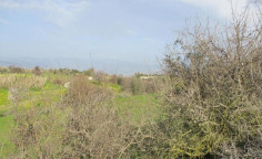 For sale, land, field, Paphos, theletra, 7,962m&sup2;, &euro;26,000 