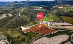 For sale, land, field, Paphos, theletra, 7,962m&sup2;, &euro;26,000 